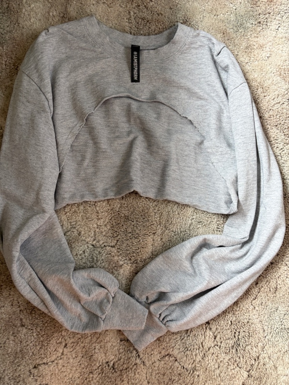 1st Phorm Light Gray Cropped Sweatshirt - Women's